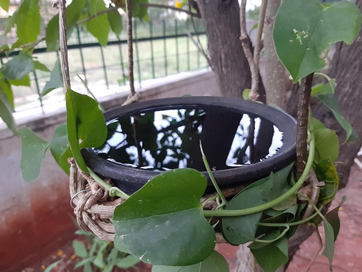Agsara Home Stay Coimbatore Bagian luar foto
